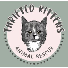 Thrifted Kittens Animal Rescue logo