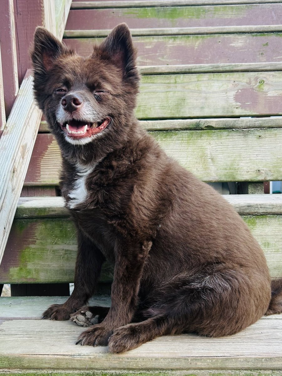 CoCo