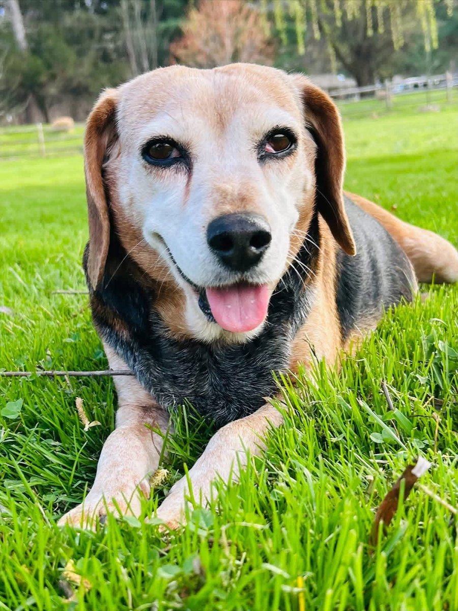 Bonnie