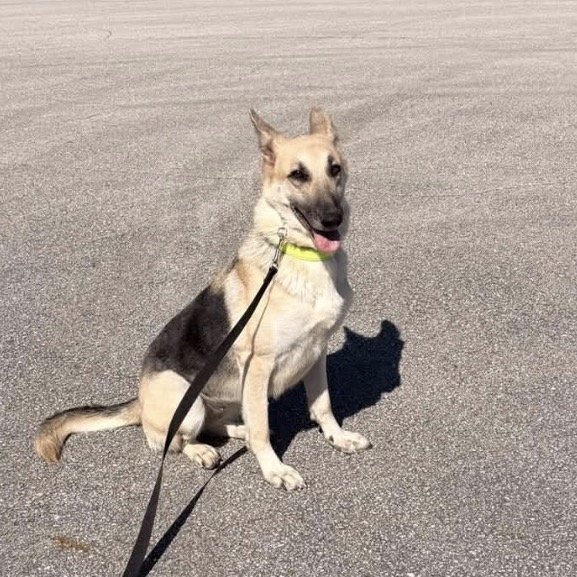 Kida