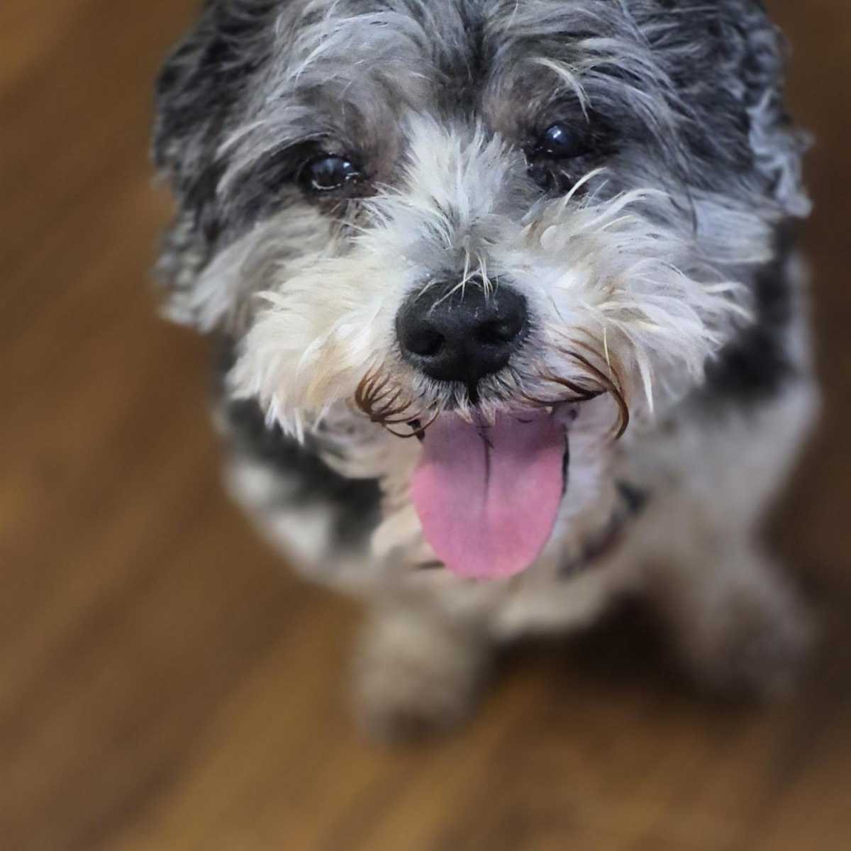 Coco