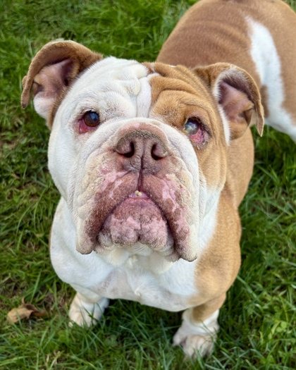 Winnie