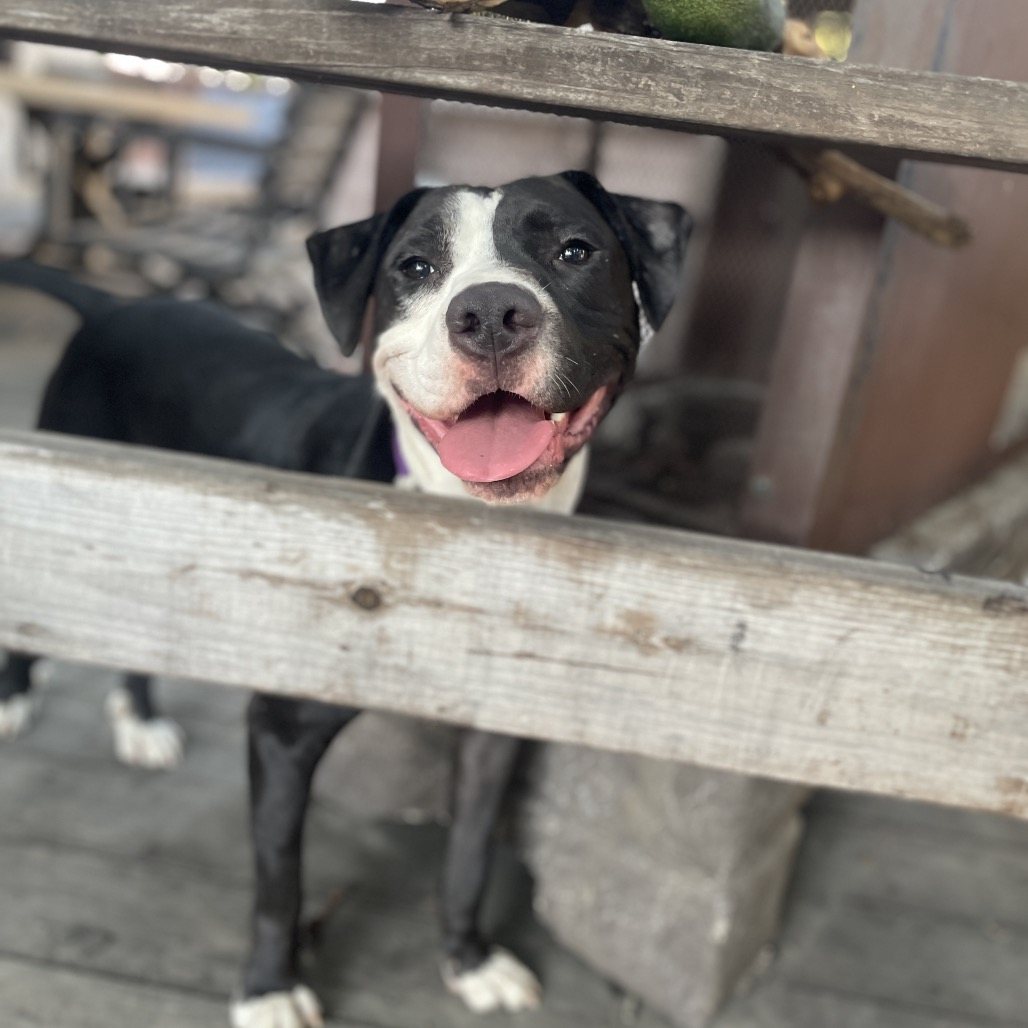 Lenny