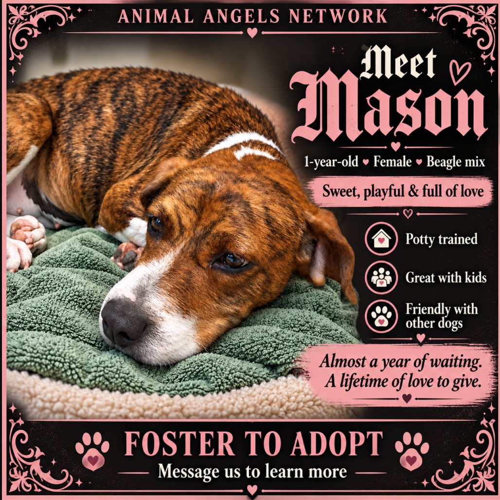 Mason