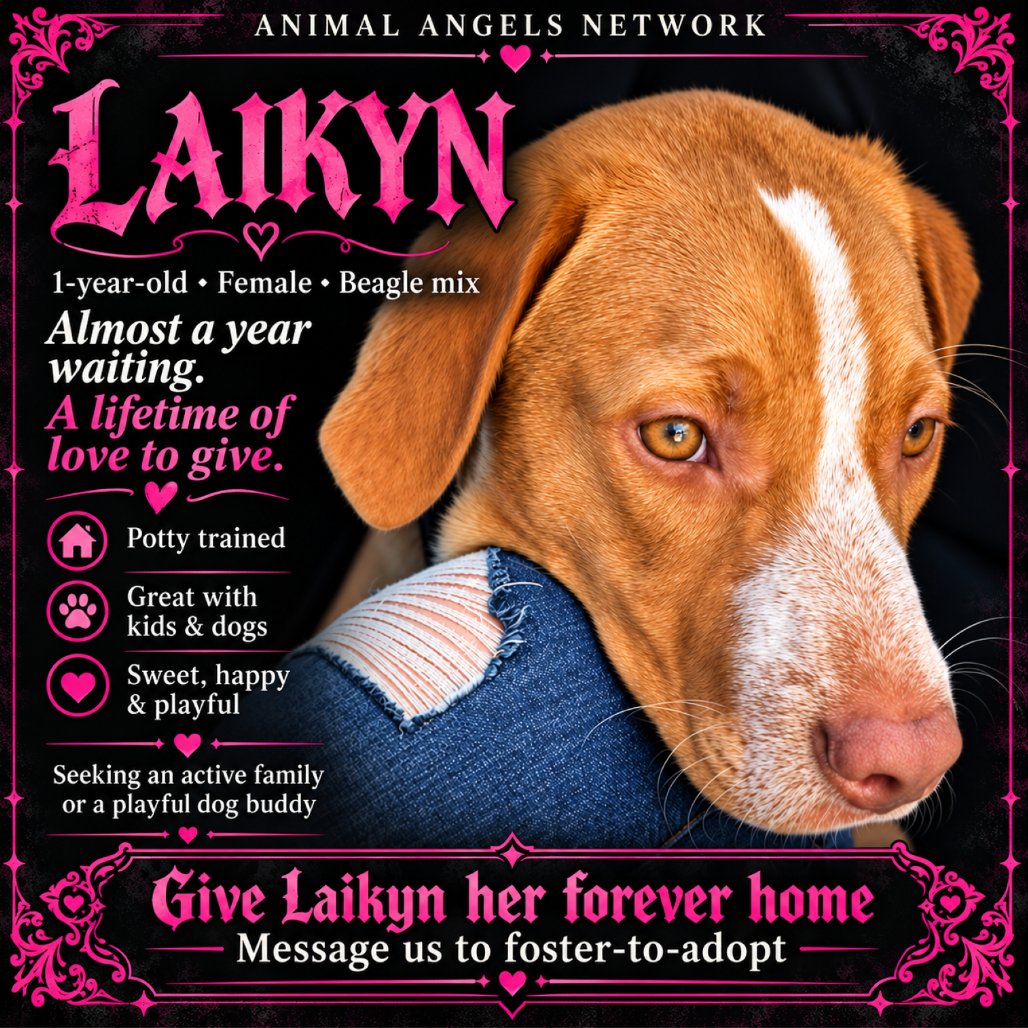 Laikyn