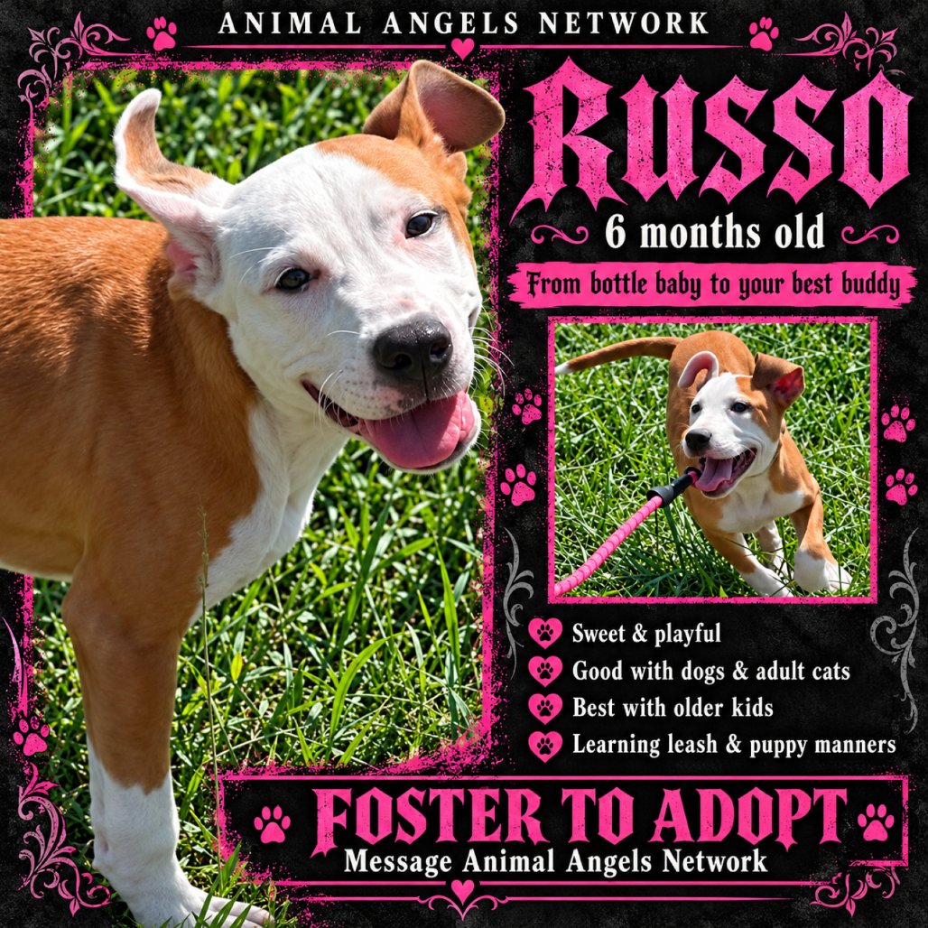 Russo