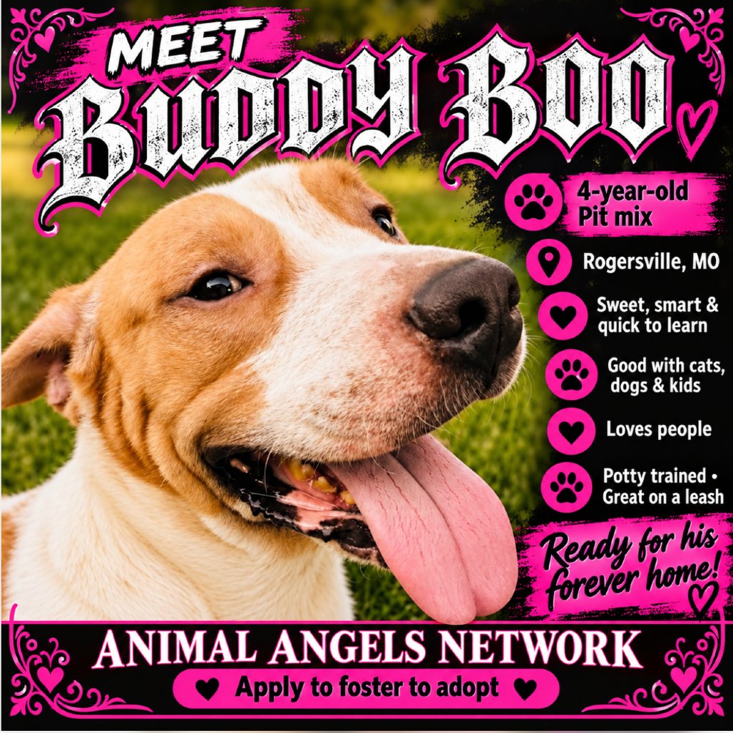 Buddy Boo