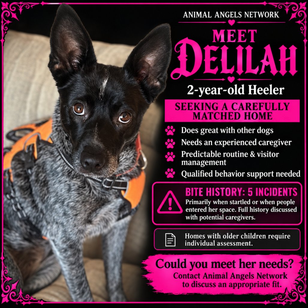 Delilah