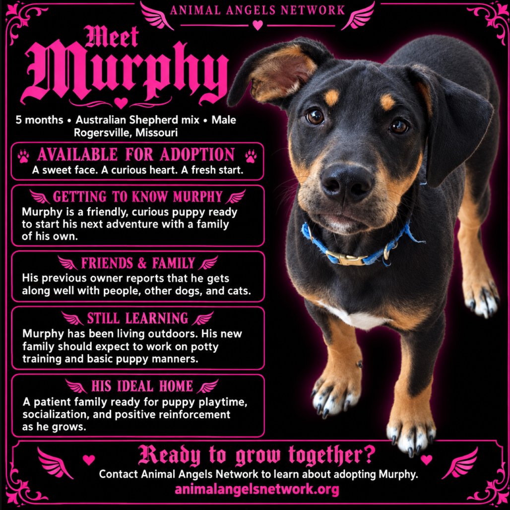 Murphy