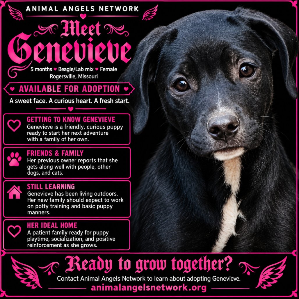 Genevieve