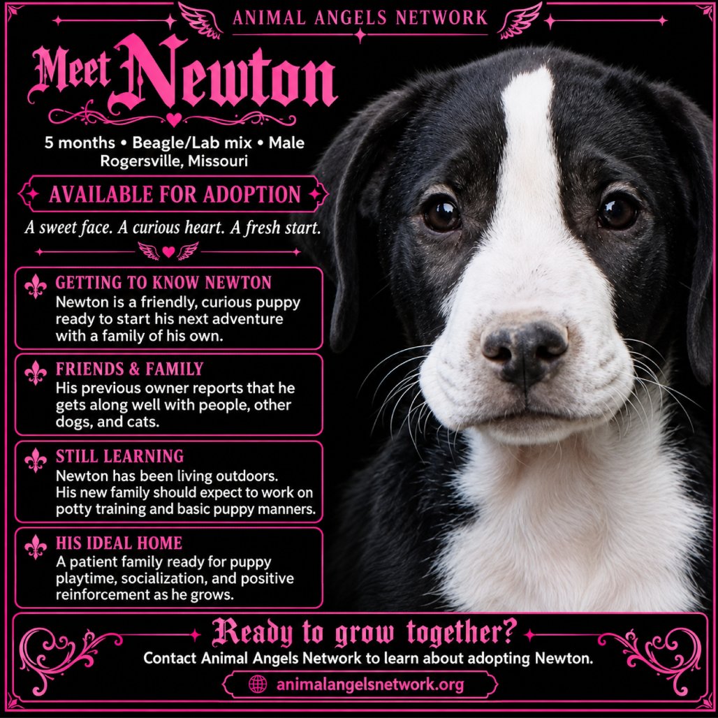 Newton