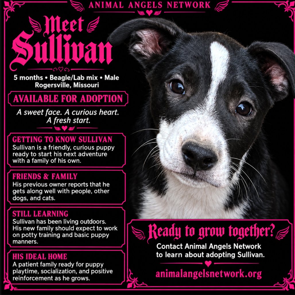 Sullivan
