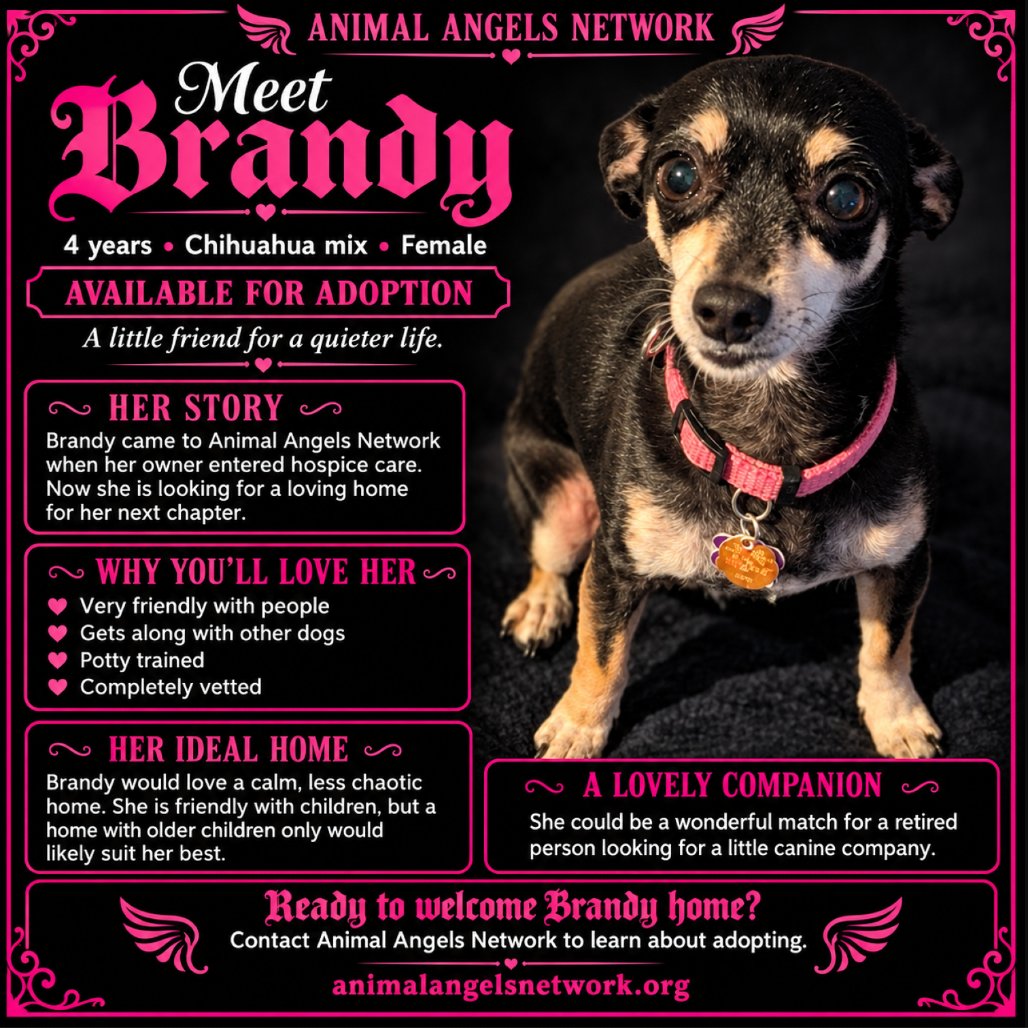 Brandy