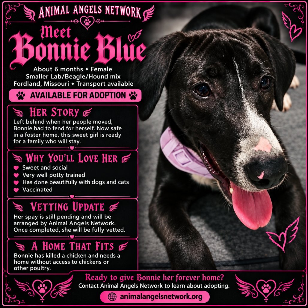 Bonnie Blue