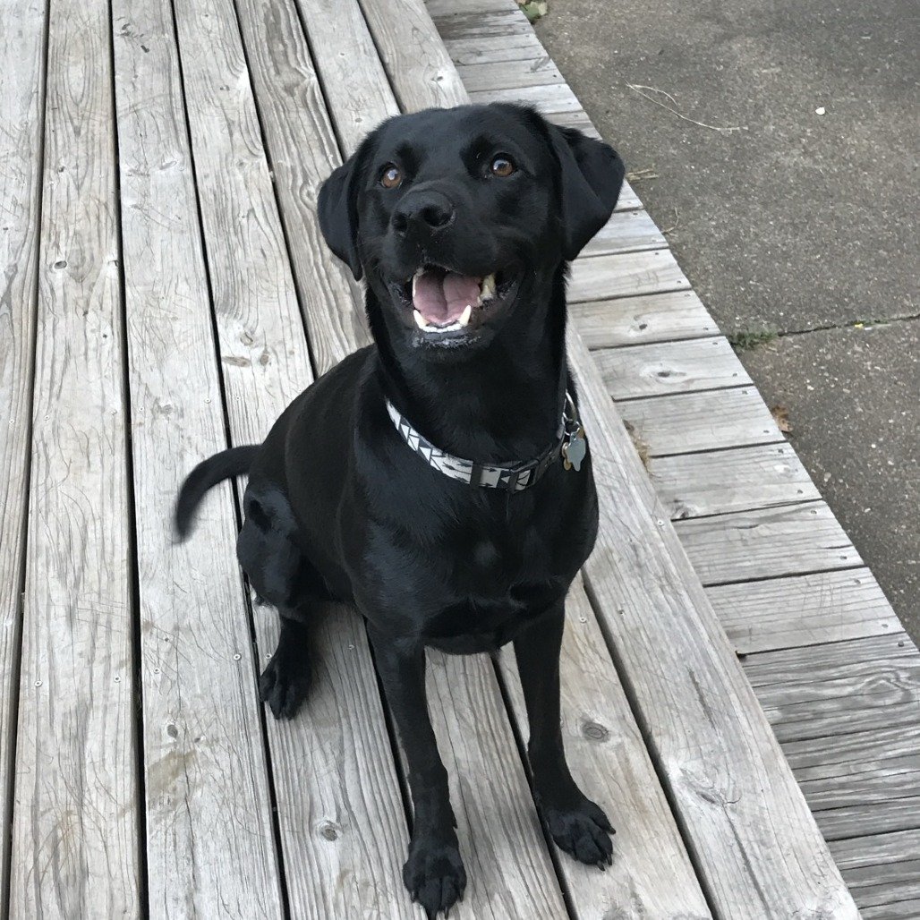 Baylor