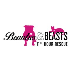 Beauties and Beasts - Wichita, KS logo