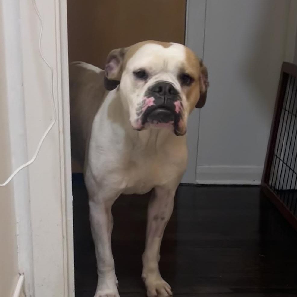 Ellie