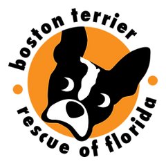 Boston Terrier Rescue of Florida logo