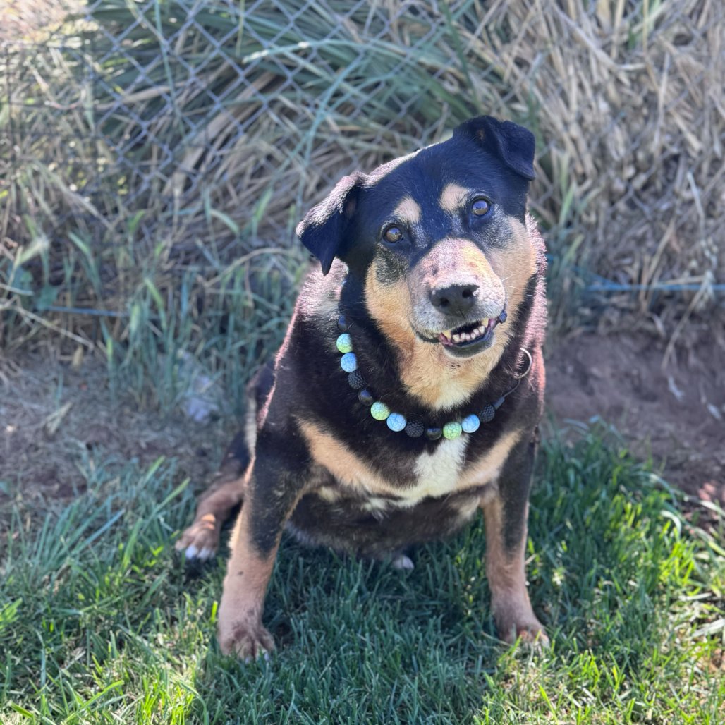 Ramona
