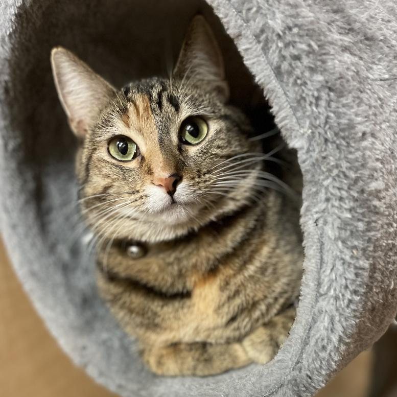 Chloe