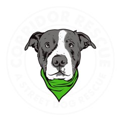 Corridor Rescue logo