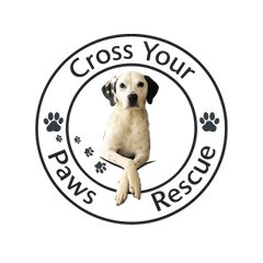 Cross Your Paws logo