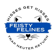 Feisty Felines logo