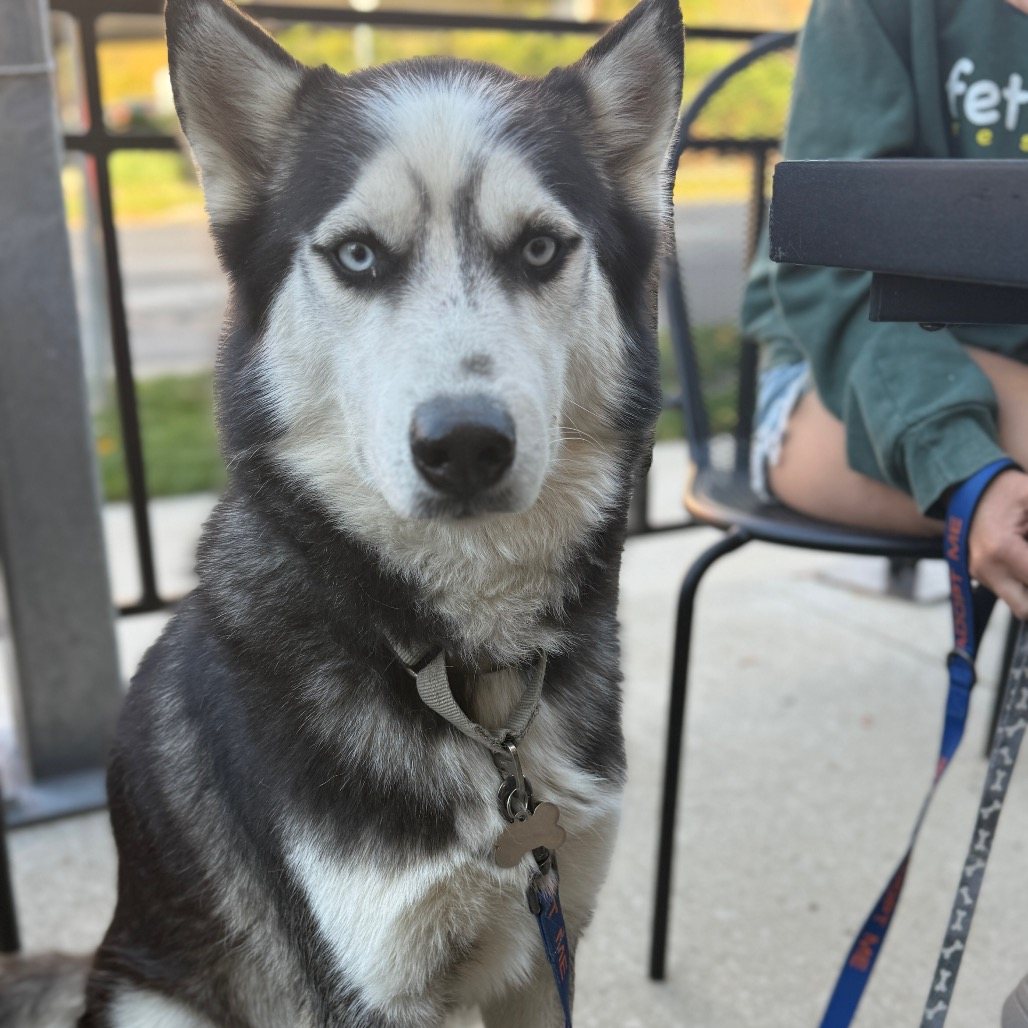 Max