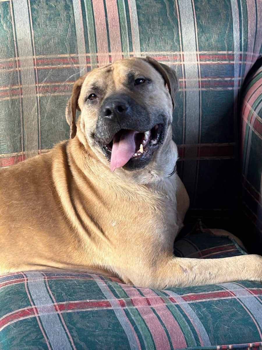 Atlas