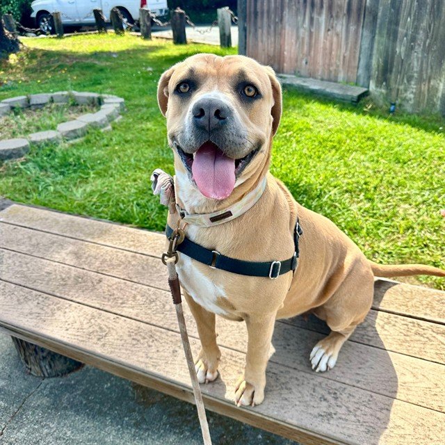 Penny