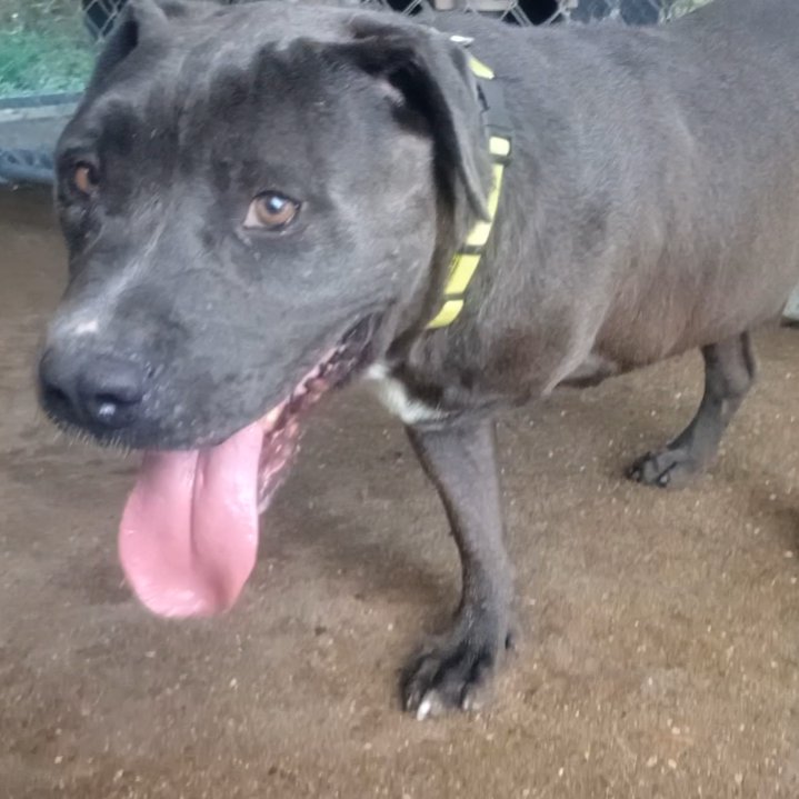 Max