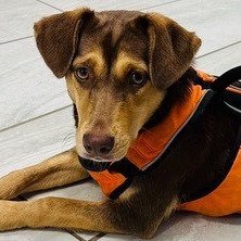 Fiona