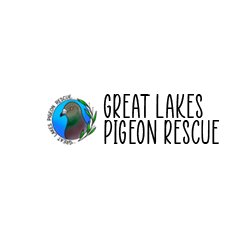Great Lakes Pigeon Rescue logo