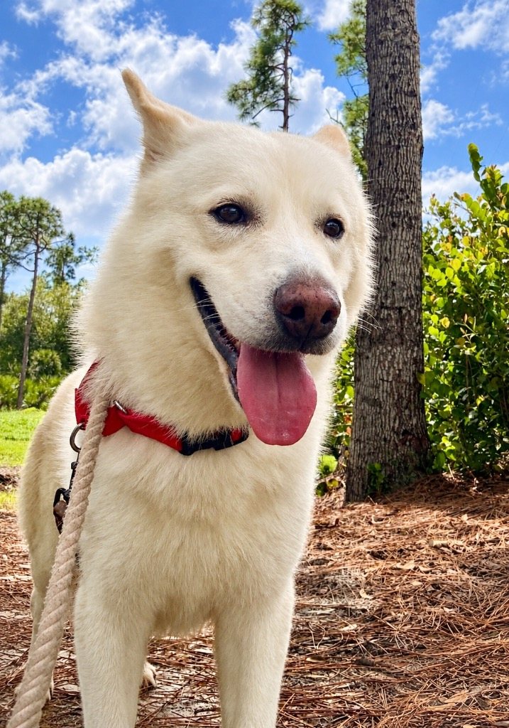 Atlas-Sweet, Shy boy!