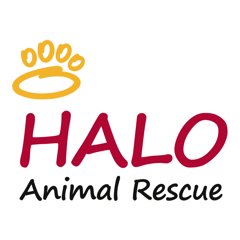 HALO Animal Rescue logo