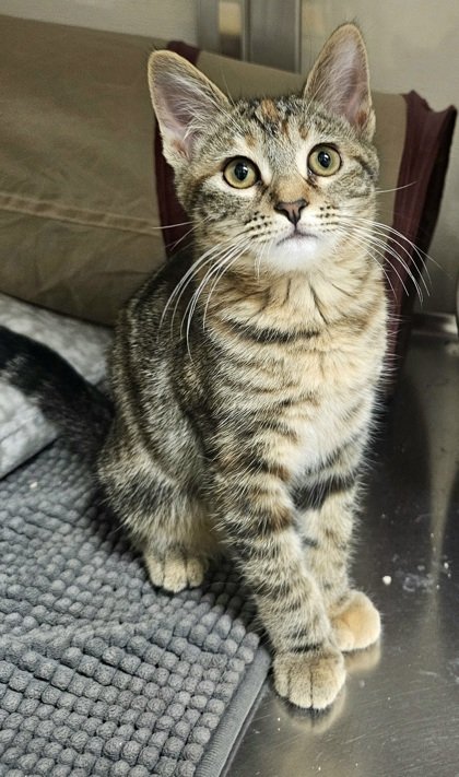 Sally