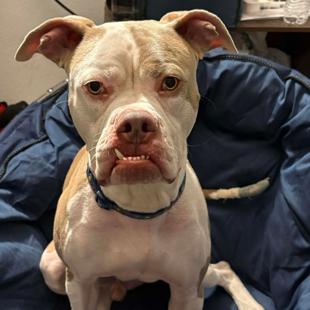 Walter