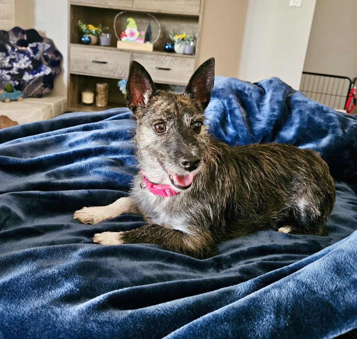 Lexie