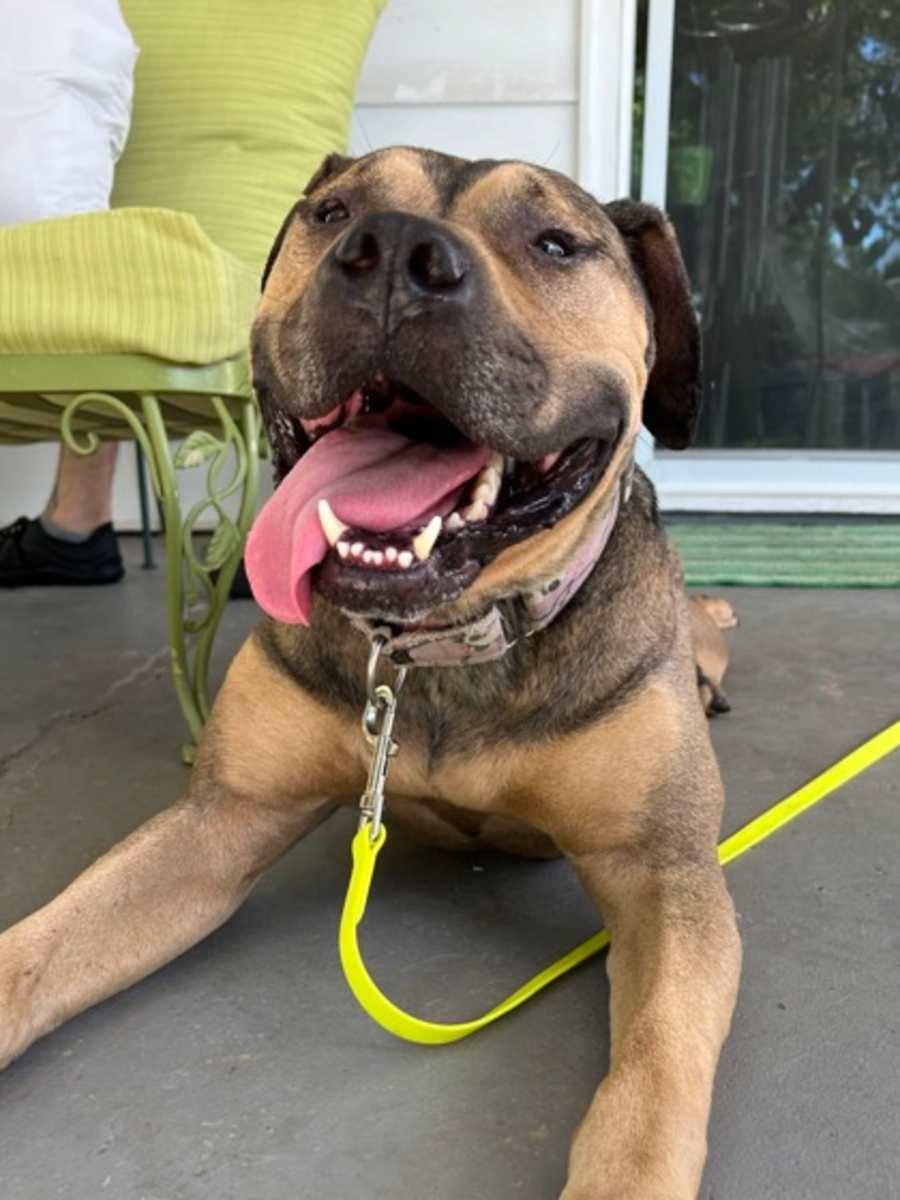 Bella Jean