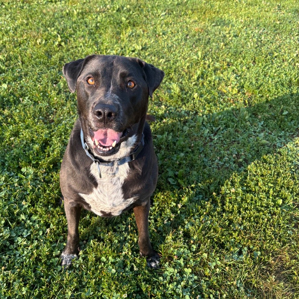 Luna