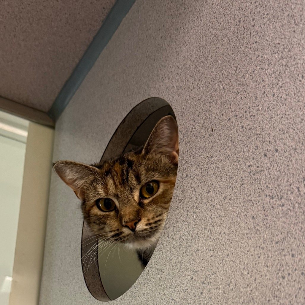 Happy