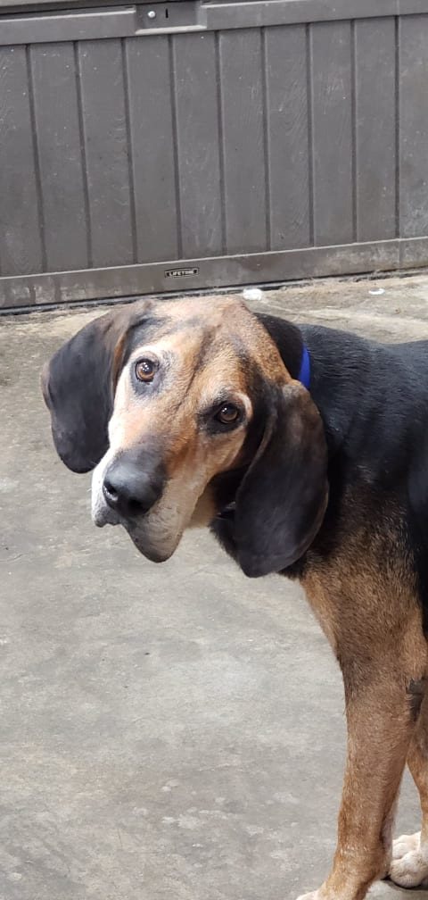 Dudley