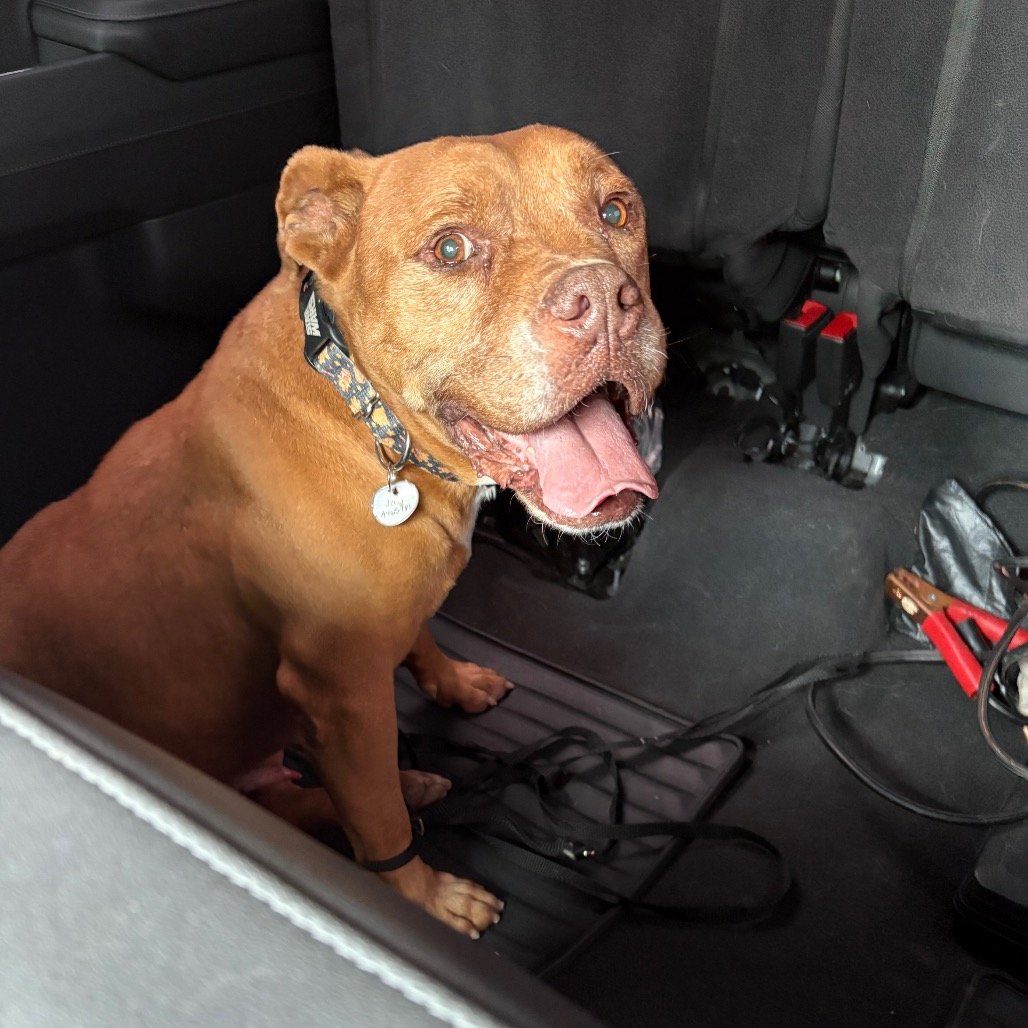 Max