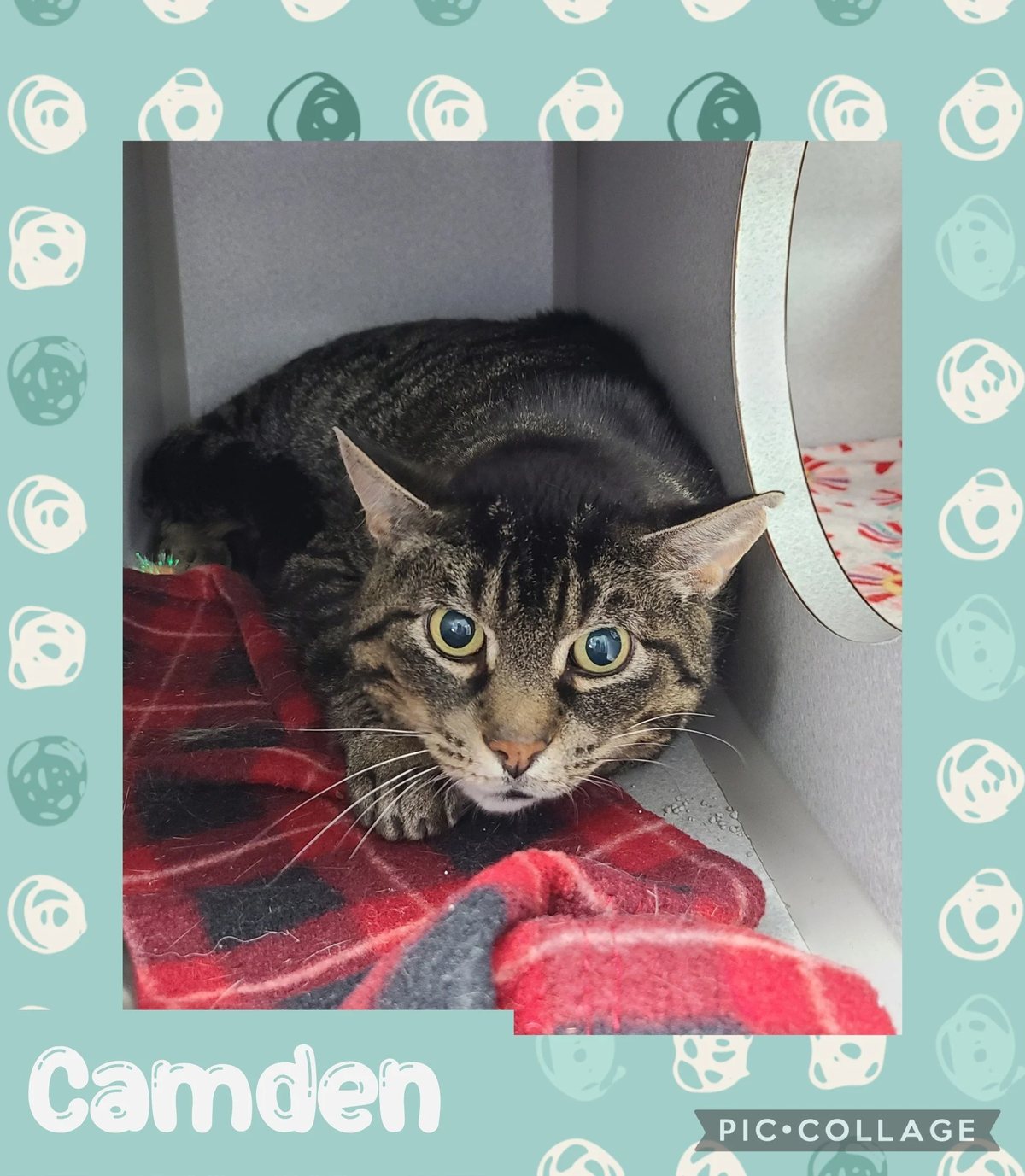Camden