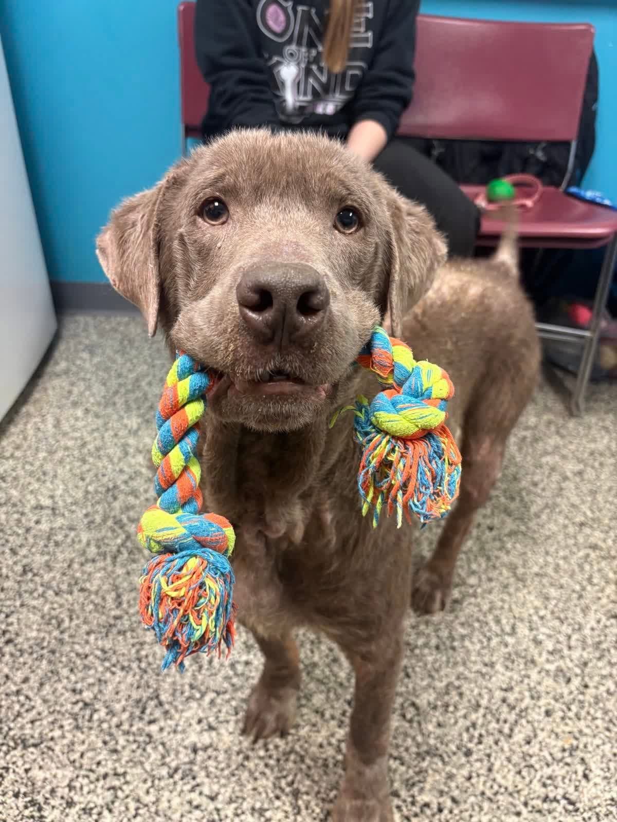 Eeyore (LONGEST RESIDENT DOG)