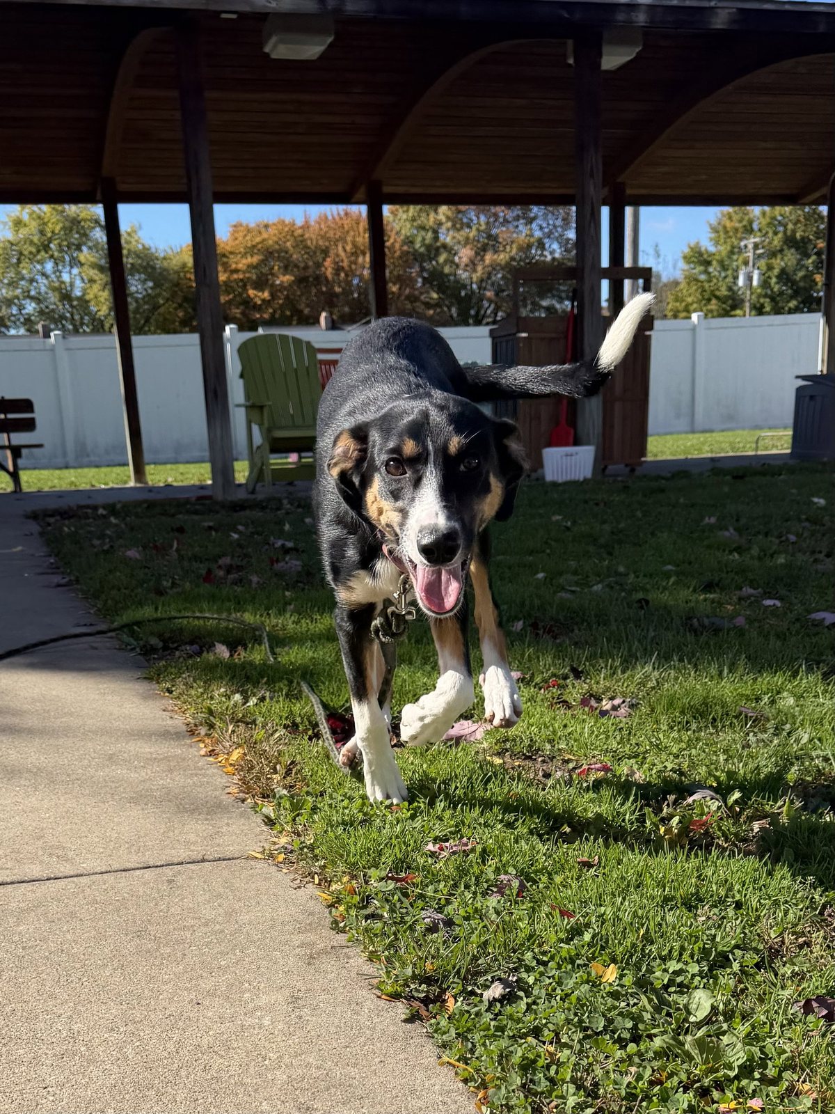 Josie