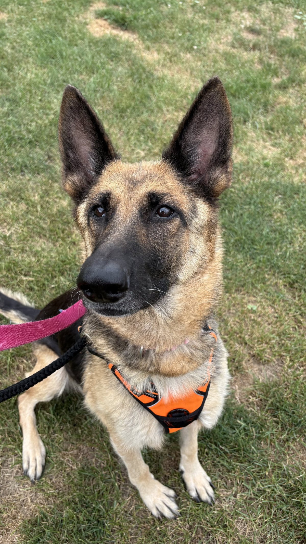 Kira