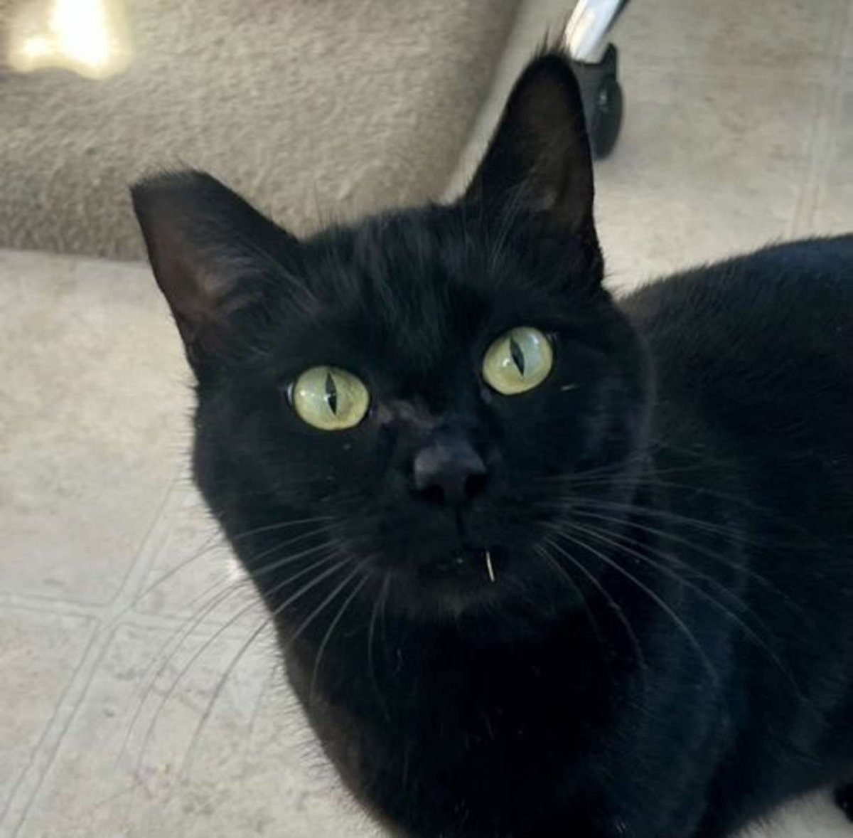 Onyx