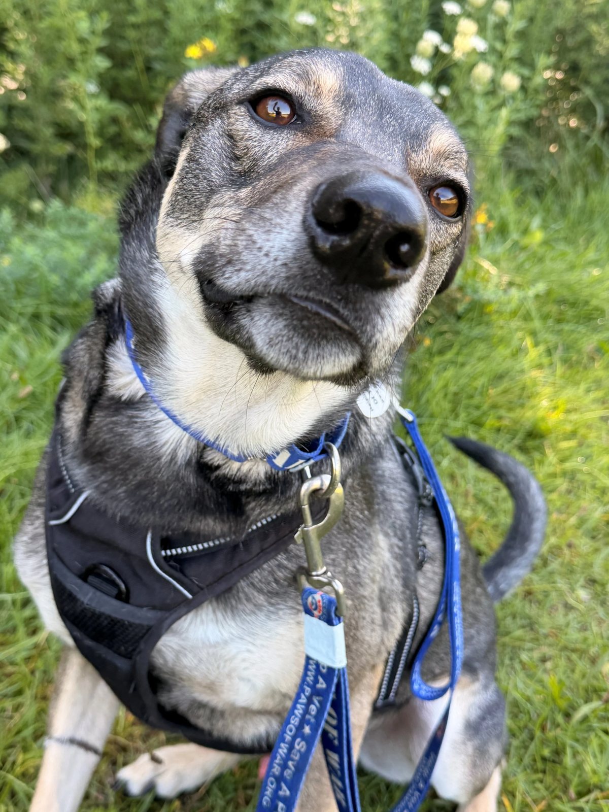 Max