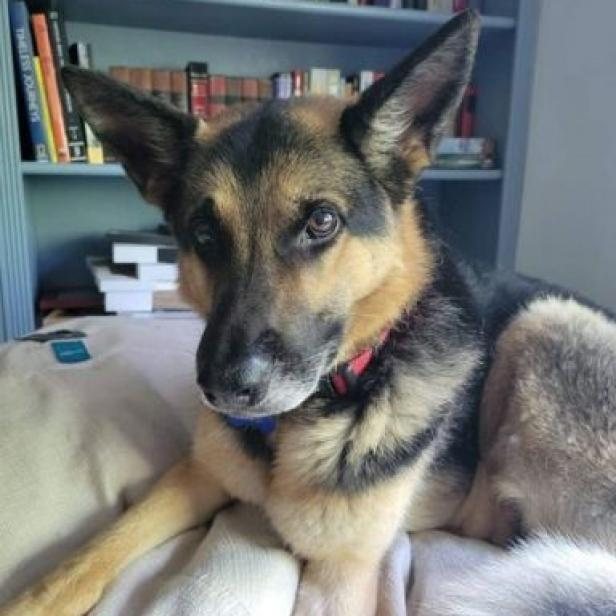 Milo